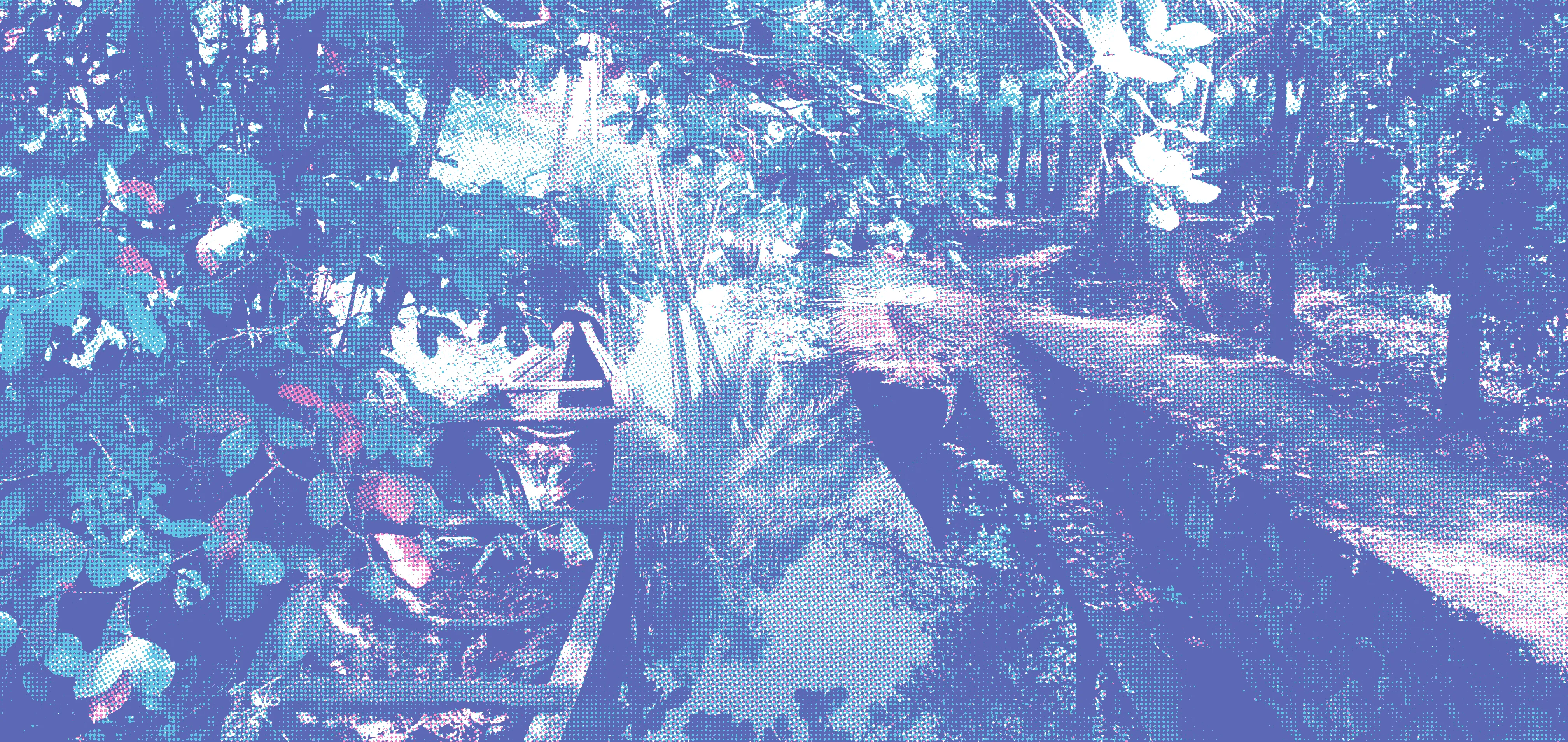 Alley in backwaters of Kerala