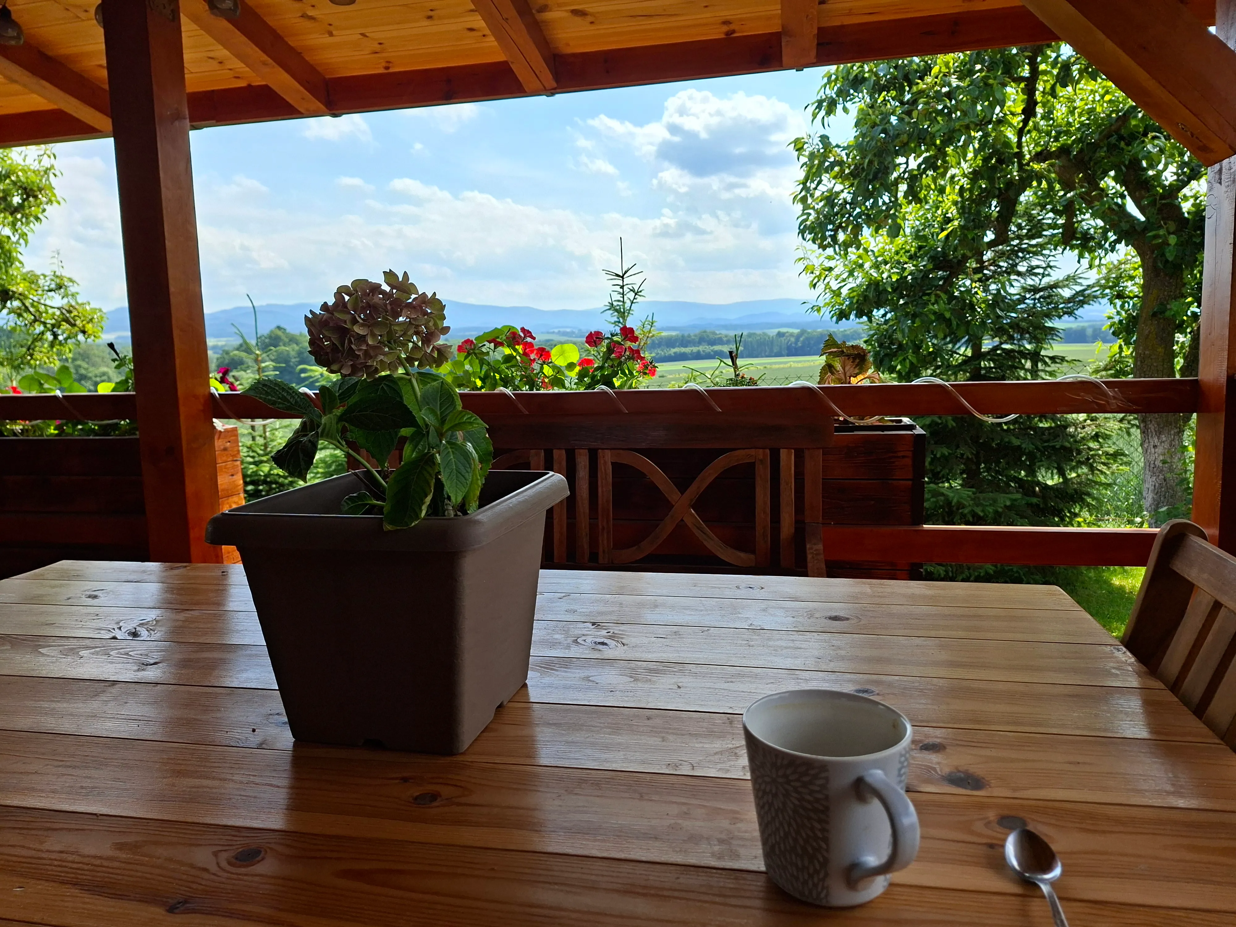 Wooden table with flower pot and cup, mountain landscape in background