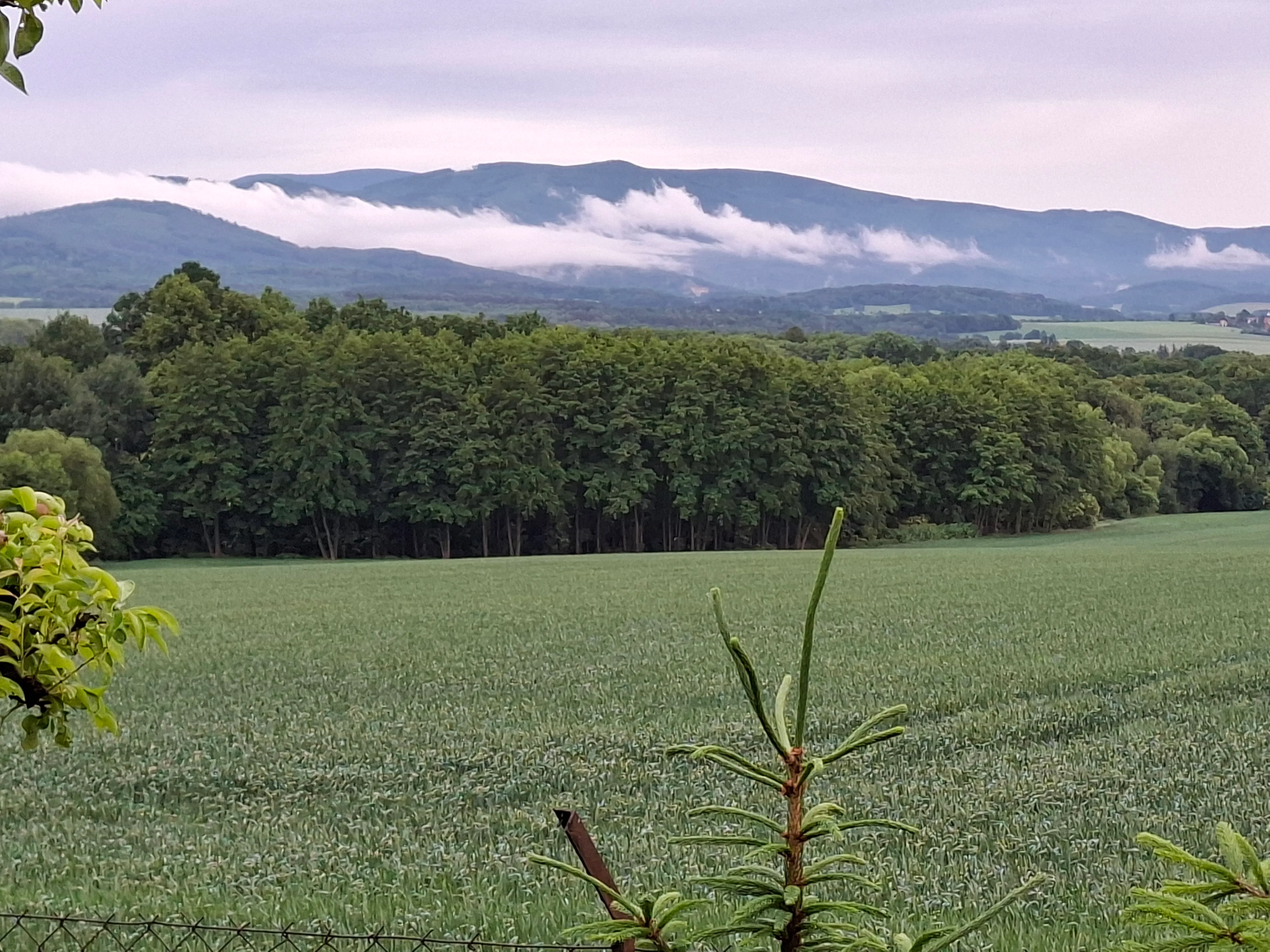 Mountain landscape partially covered by thin clouds