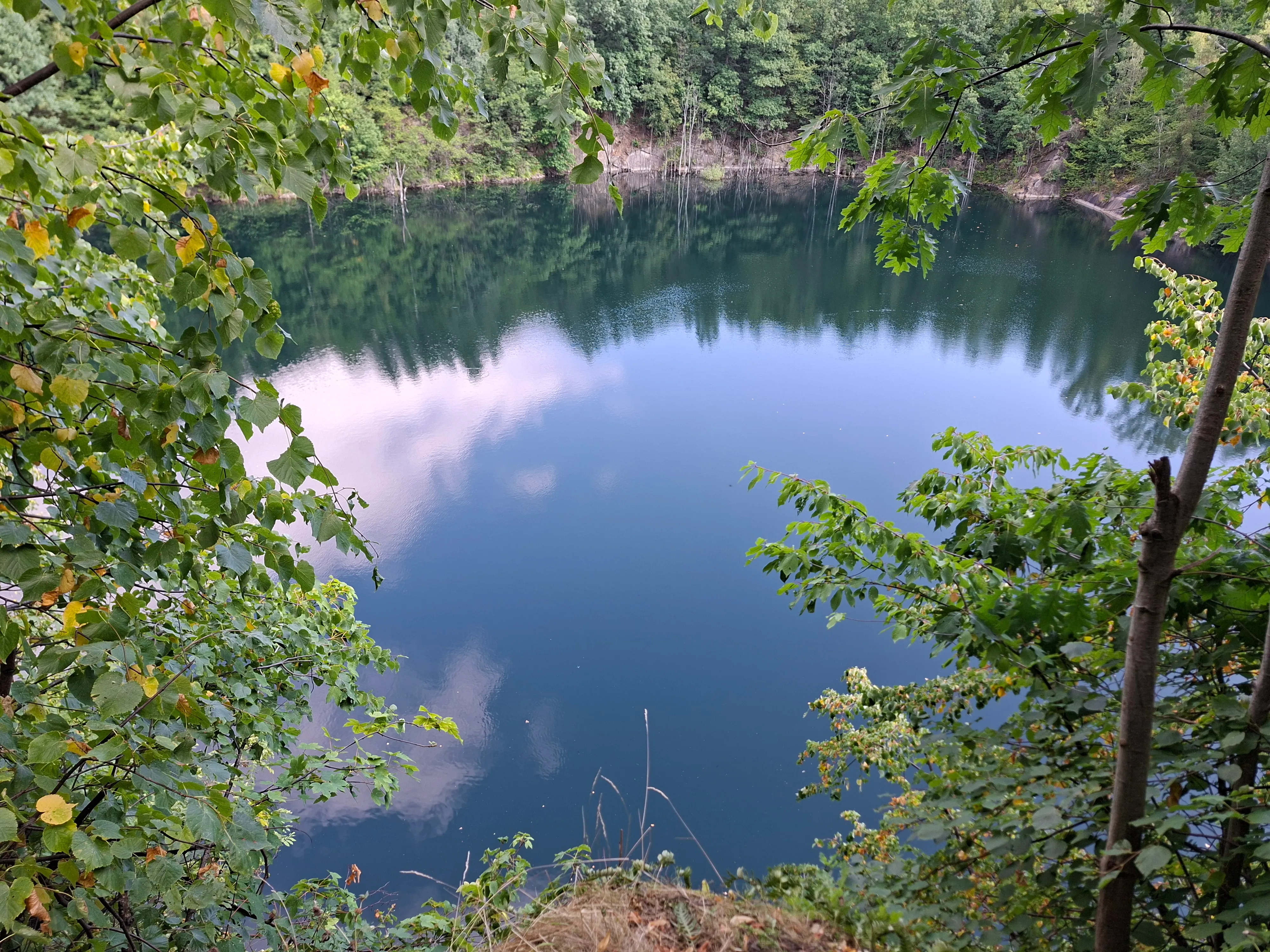 Submerged quarry with tall trees seen from high cliff